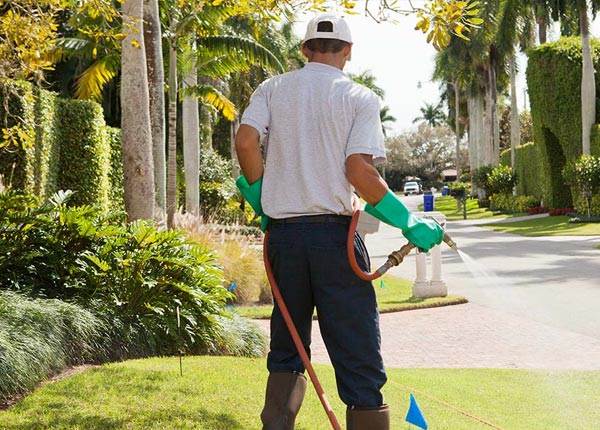 About Hoyt KS Pest Control